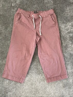 EC Torrid Pull-On Weekend Wide-Leg Ankle Pant - Twilight Mauve - Size 1 (14-16)
